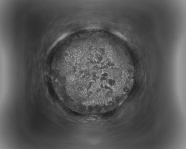 X0000086281255200704191939