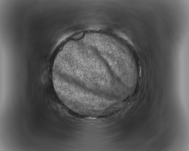 X0000086281256200704191939