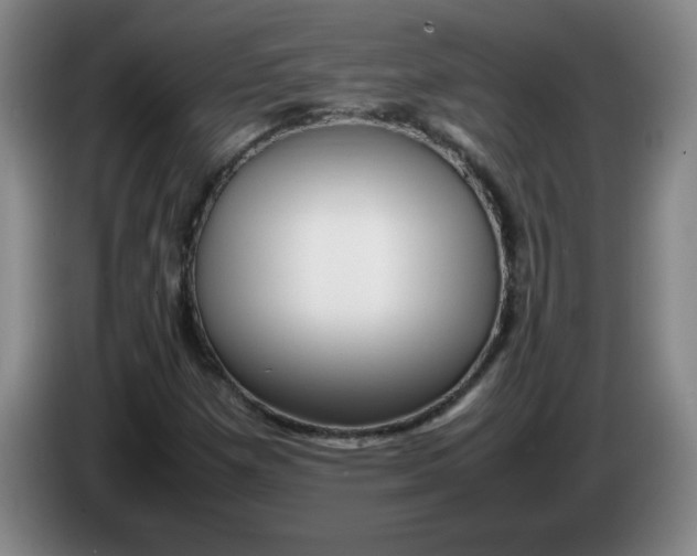 X0000086281257200704191939