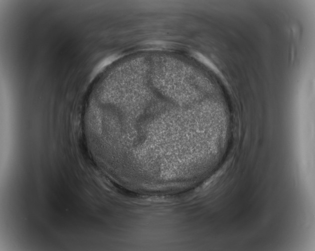 X0000086281259200704191939