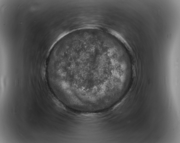 X0000086281260200704191939