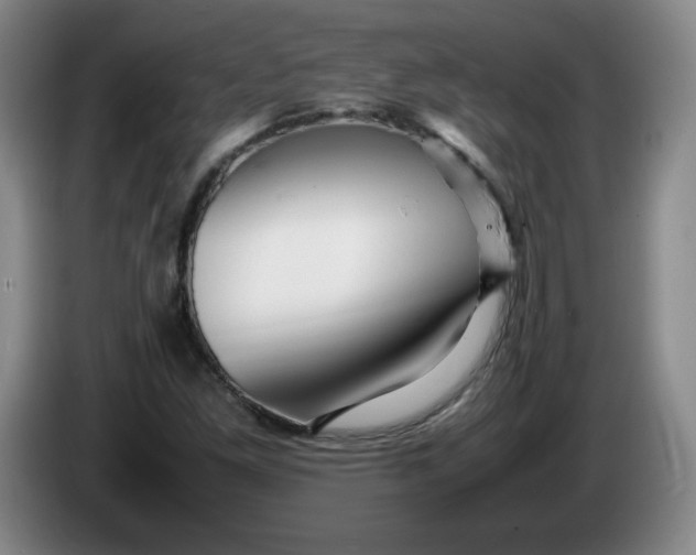 X0000086281261200704191938