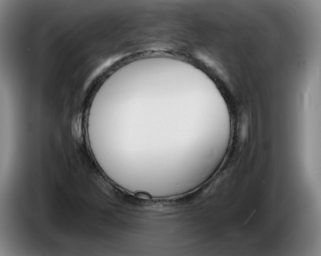 X0000086281262200704191938