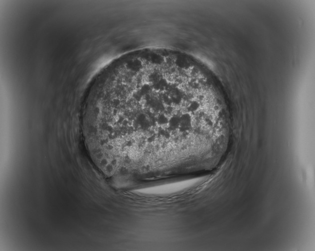 X0000086281263200704191938