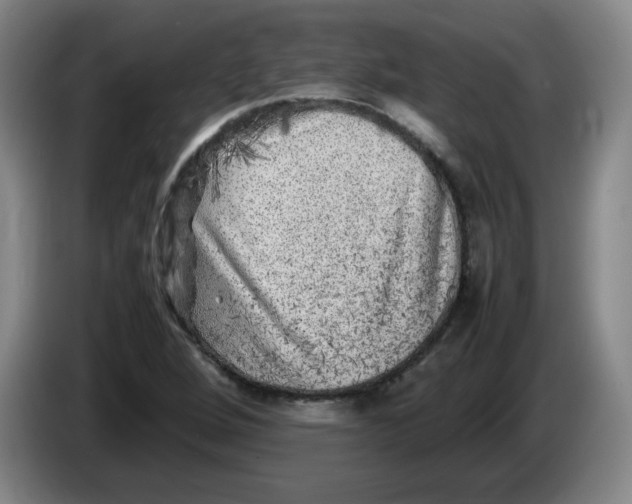 X0000086281264200704191938