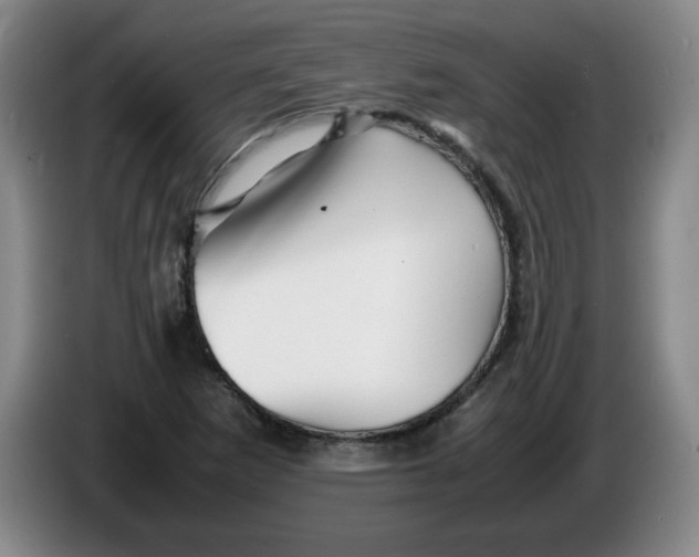 X0000086281265200704191938