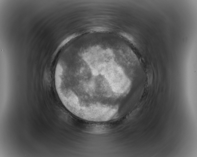 X0000086281266200704191938