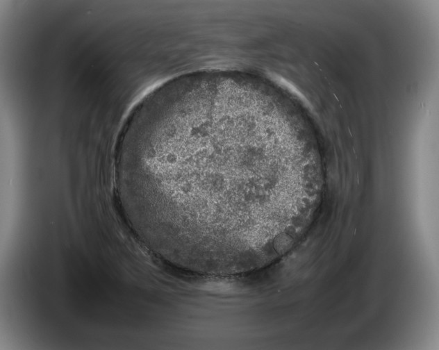 X0000086281267200704191938