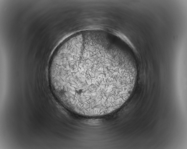 X0000086281268200704191938