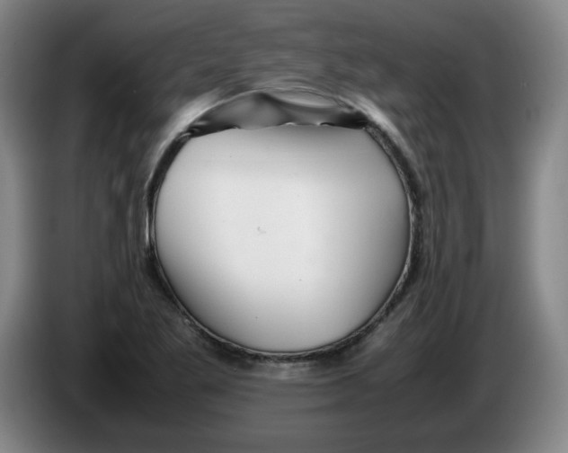 X0000086281269200704191938