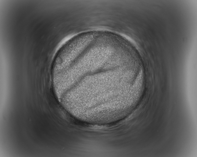 X0000086281271200704191938