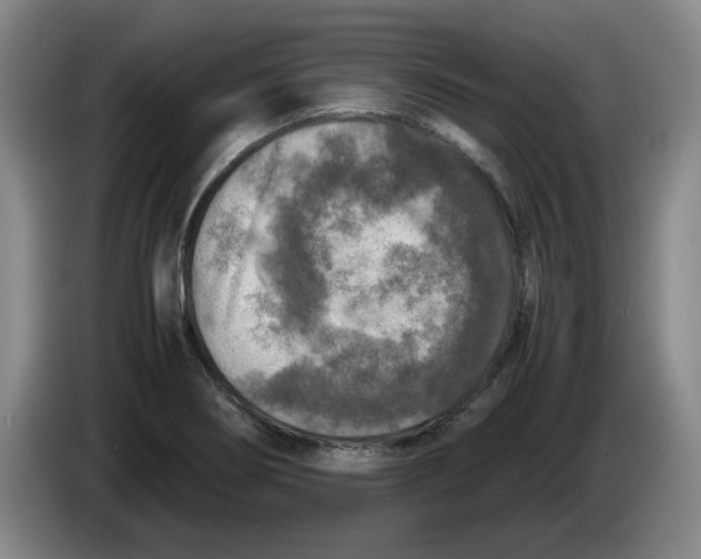 X0000086281274200704191938