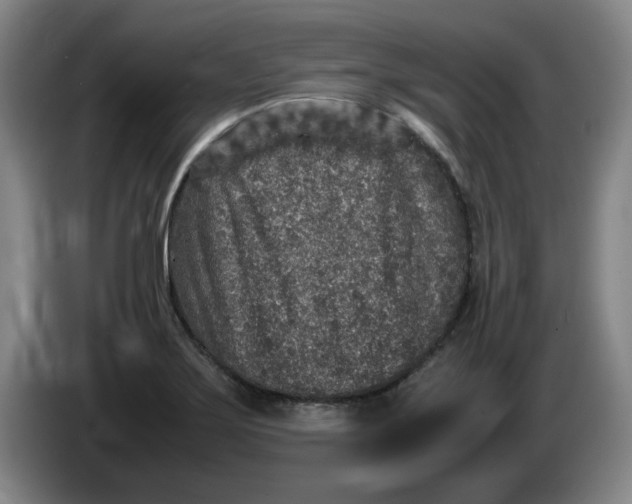 X0000086281275200704191938