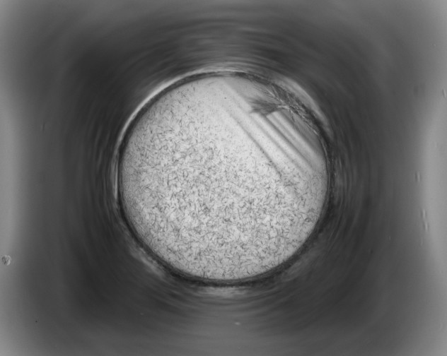 X0000086281276200704191938