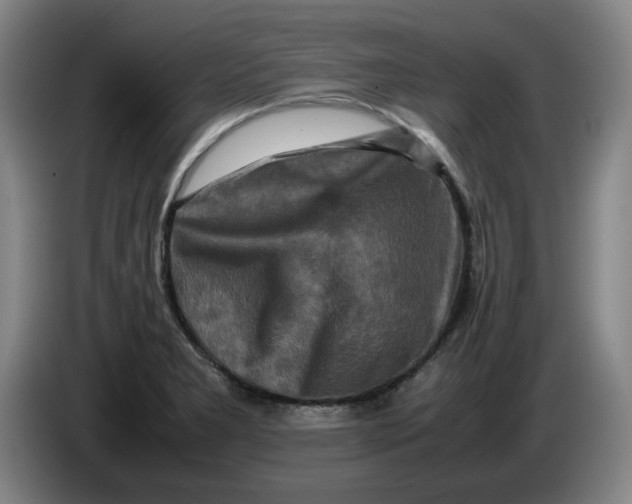 X0000086281277200704191938