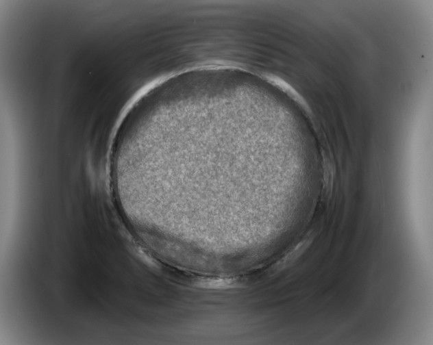 X0000086281278200704191938