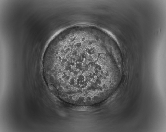 X0000086281279200704191938