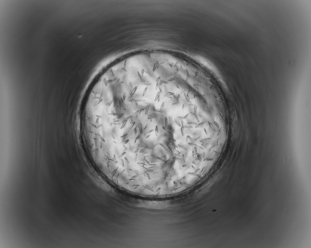 X0000086281280200704191938