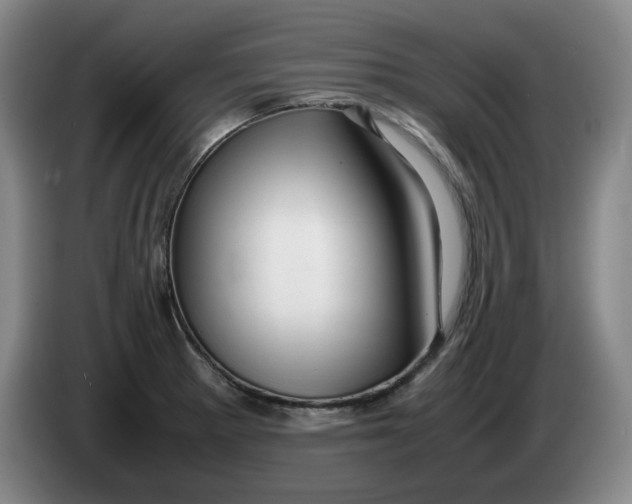 X0000086281281200704191938