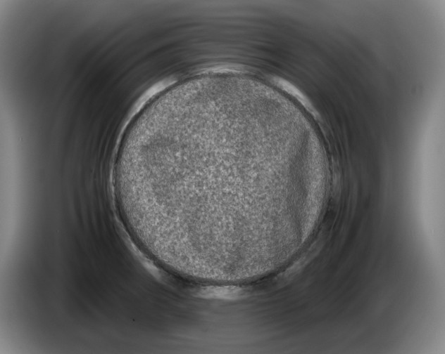 X0000086281282200704191938