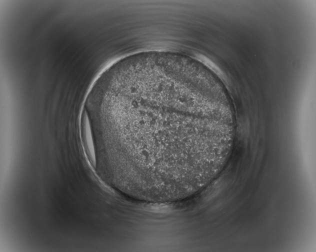 X0000086281283200704191938