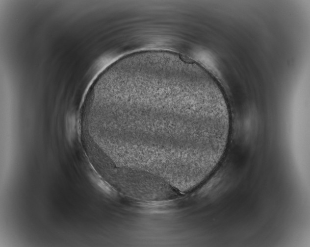 X0000086281284200704191938