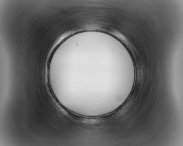 X0000086281286200704191938