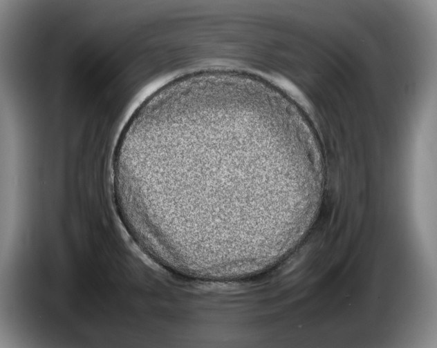 X0000086281287200704191938