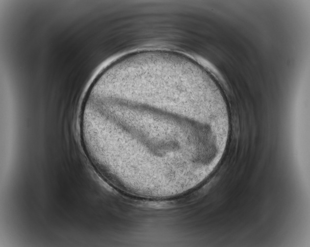 X0000086281288200704191938