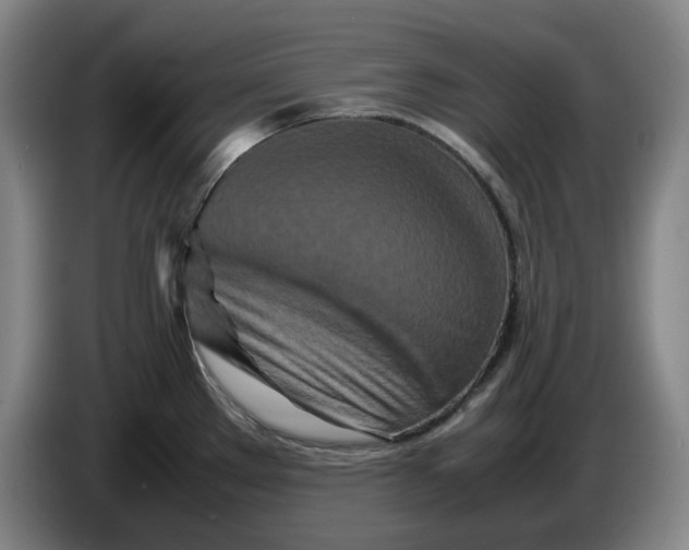 X0000086281289200704191938