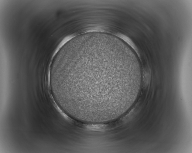 X0000086281290200704191938