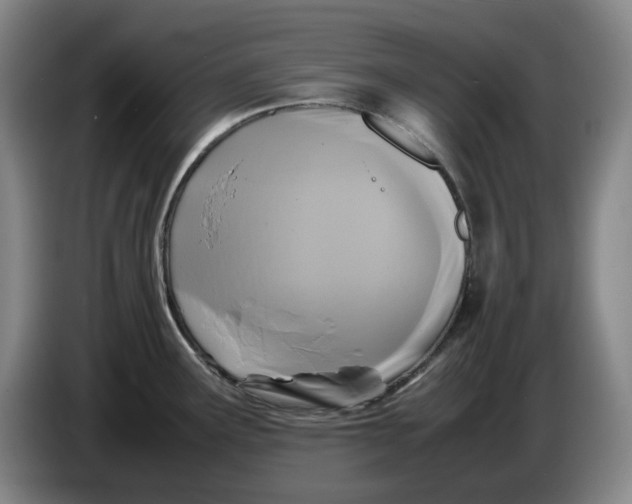 X0000086281291200704191938