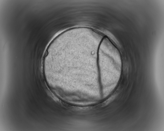 X0000086281292200704191938