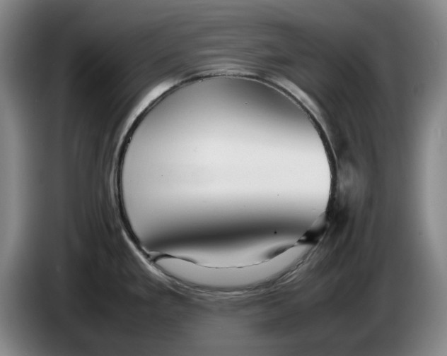 X0000086281293200704191938