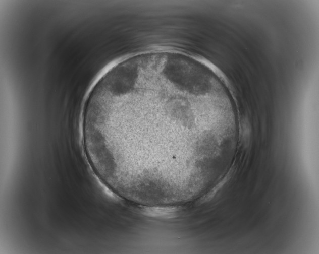 X0000086281294200704191938