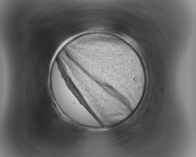 X0000086281296200704191938