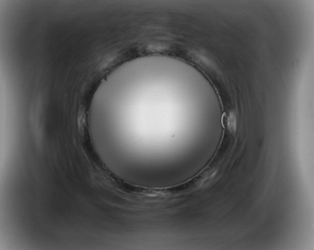 X0000086281299200704191937