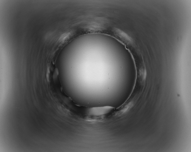 X0000086281300200704191937