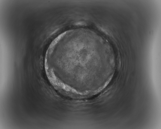 X0000086281301200704191937