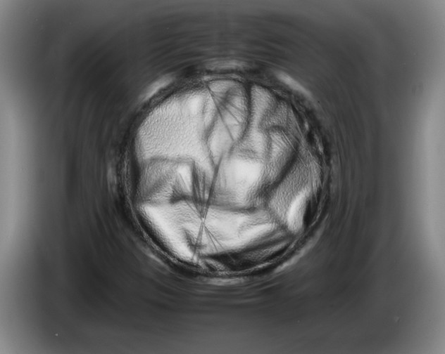 X0000086281305200704191937