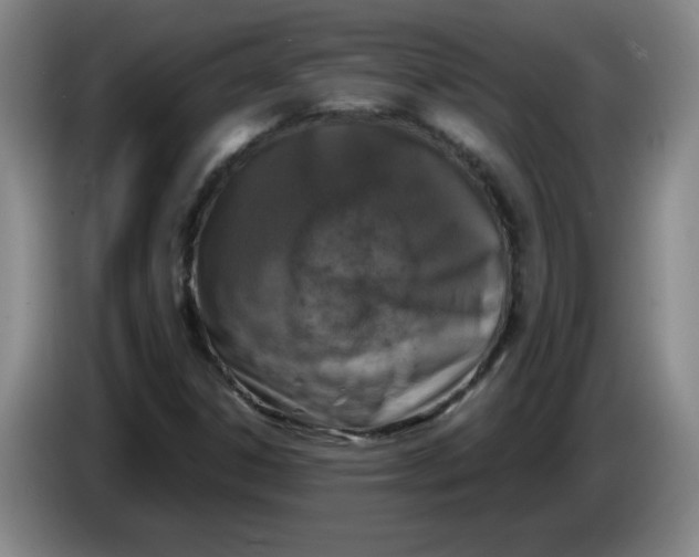 X0000086281306200704191937