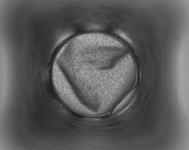 X0000086281309200704191938