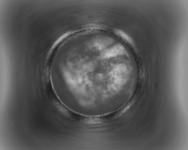 X0000086281310200704191938