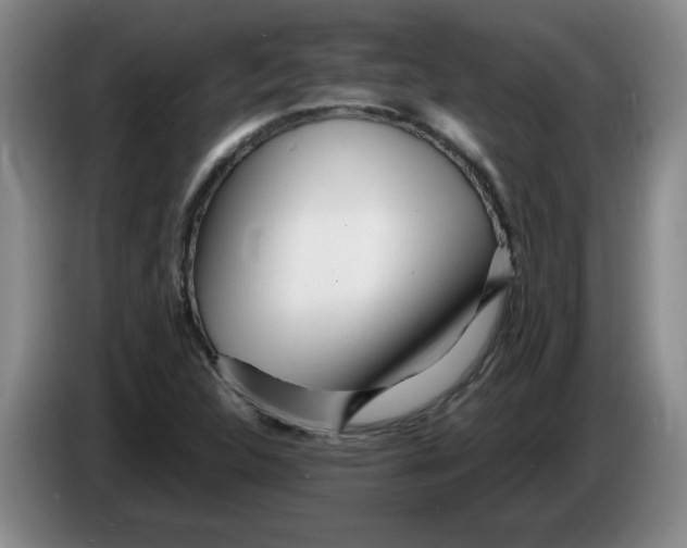 X0000086281312200704191938