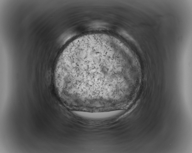 X0000086281313200704191938