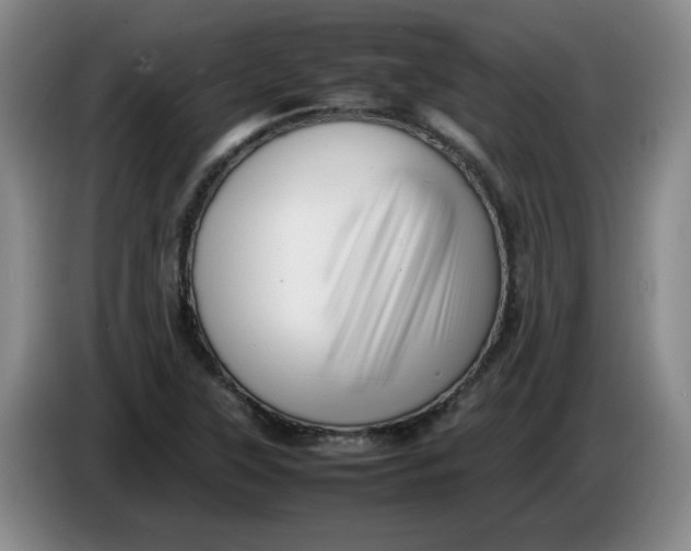 X0000086281315200704191938