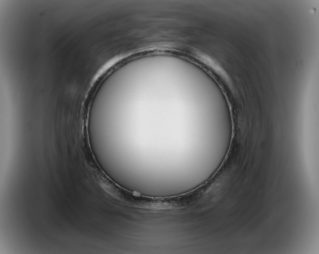 X0000086281316200704191938