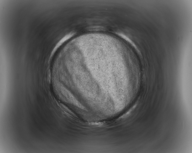 X0000086281317200704191938