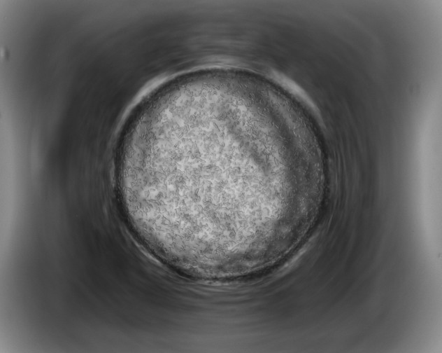 X0000086281318200704191938