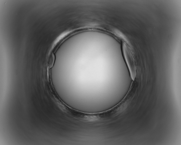 X0000086281320200704191938